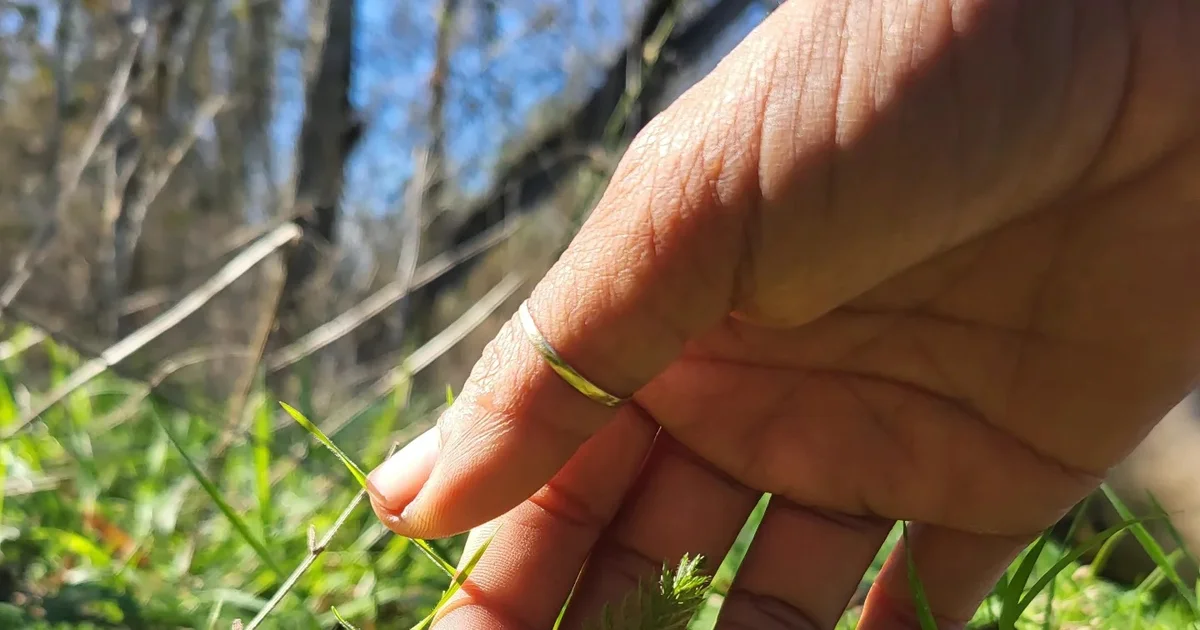 Texas Foraging Video Foraging Texas - Earth Native Wilderness School (Georgetown) in Austin ...